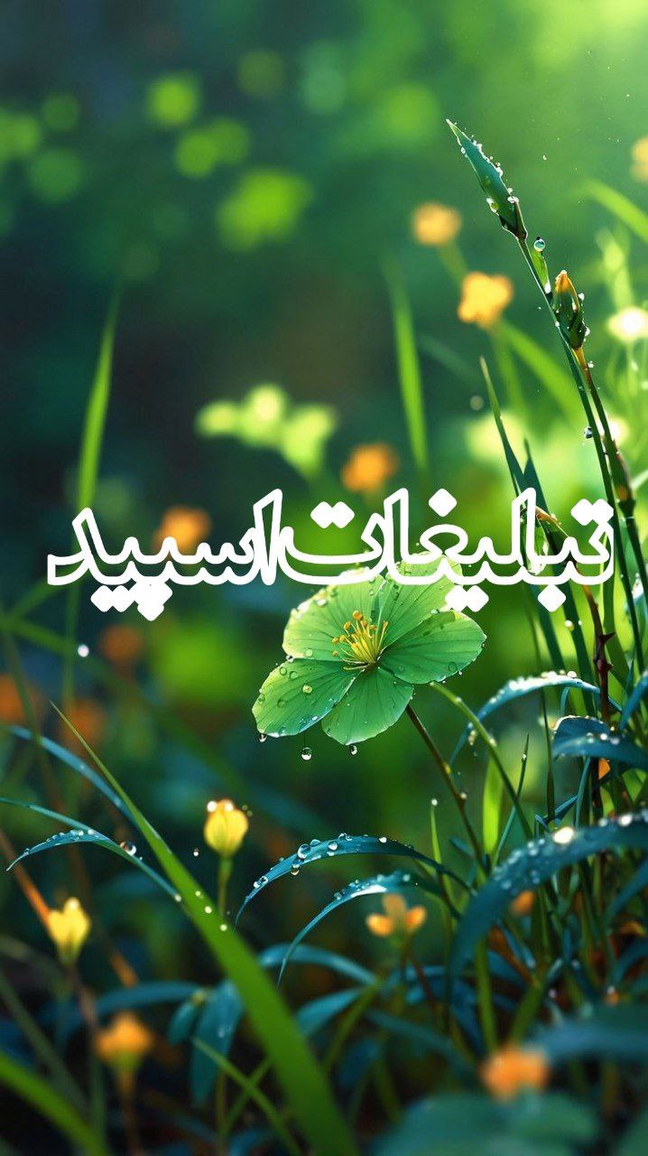 ♥⊱╮ღ꧁ کوی مهربانی تهران_کرج ꧂ღ╭⊱♥