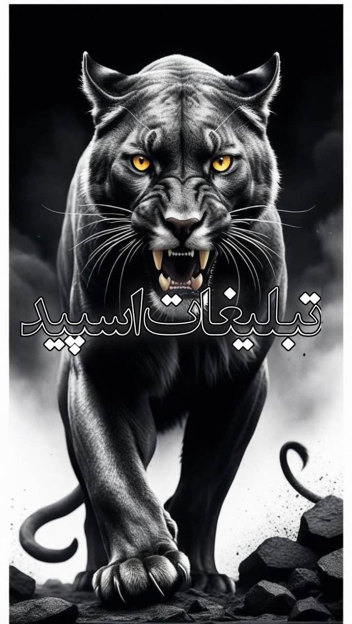 ♥... ♬حـســ 𝙉𝘼𝘽✞ ...♥