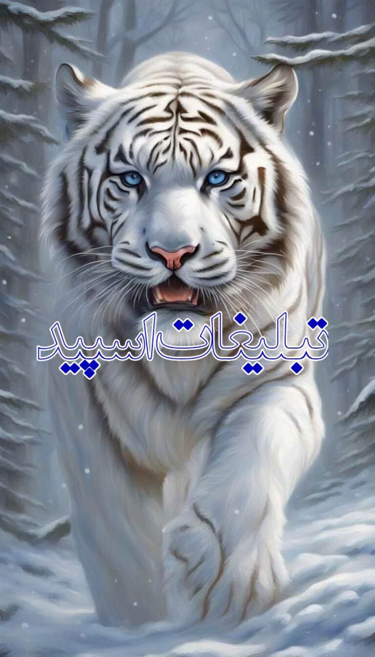 گروه دوستان بامرام (1)