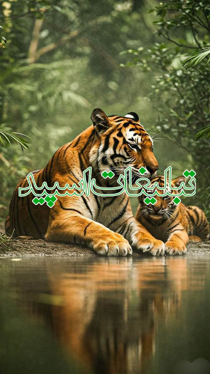 «𓄂رٖؒفٖؒـؒؔـٰٰقٖؒـؒؔـٰٰاٖؒیٖؒ اٖؒبٖؒـؒؔـٰٰدٖؒیٖؒ𓆃»
