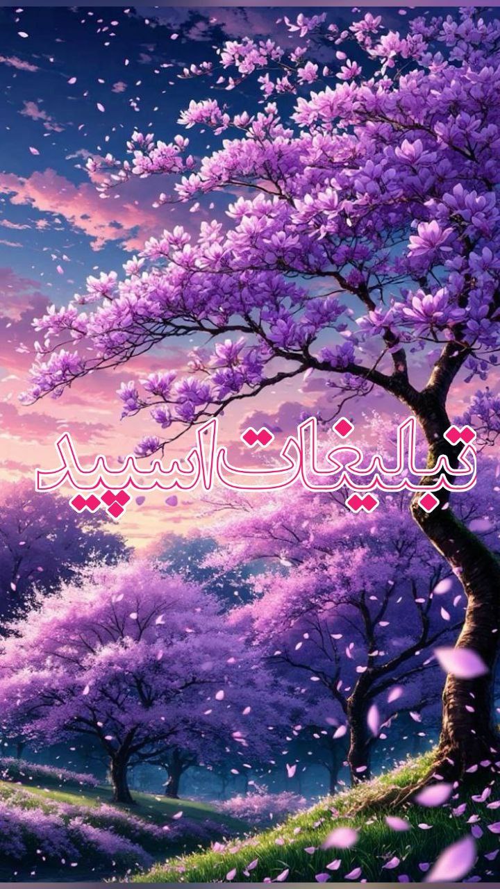 🌻گپ گل آفتابگردون🌻