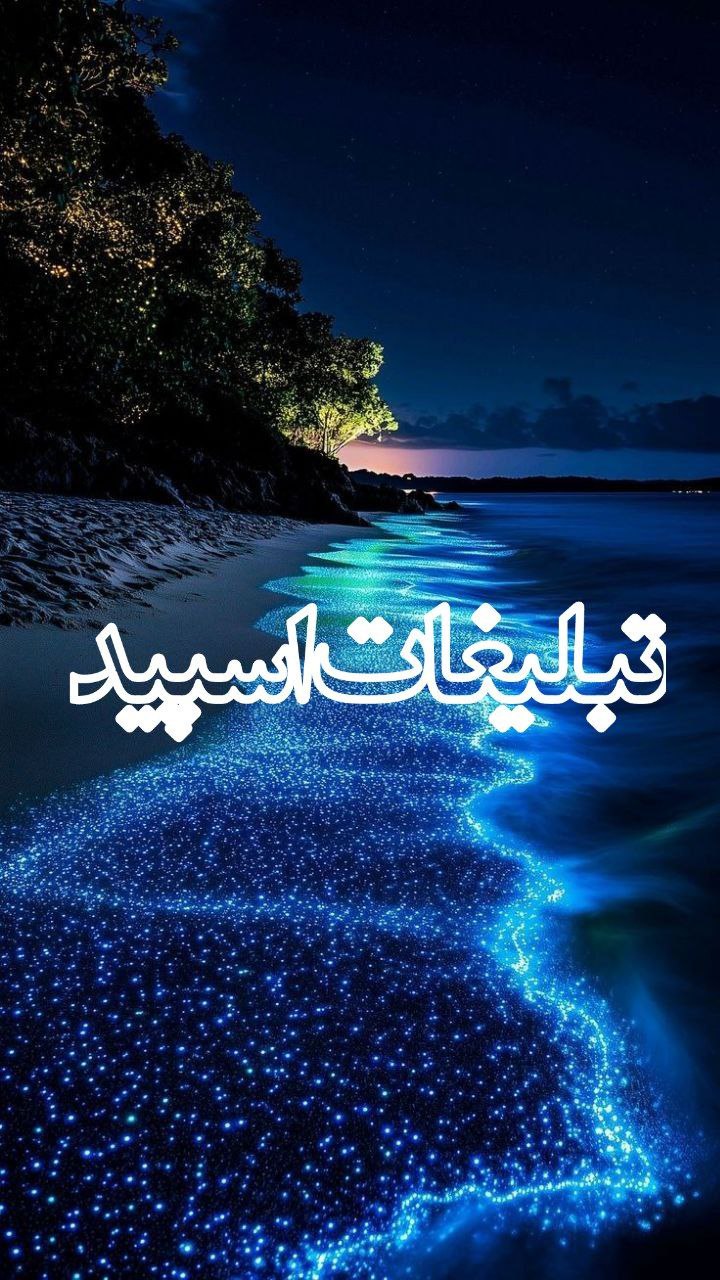 𝑨𝑩𝑹𝑮𝑷 𝐖𝐈𝐋𝐄𝐃𝐖𝐎𝐋𝐅