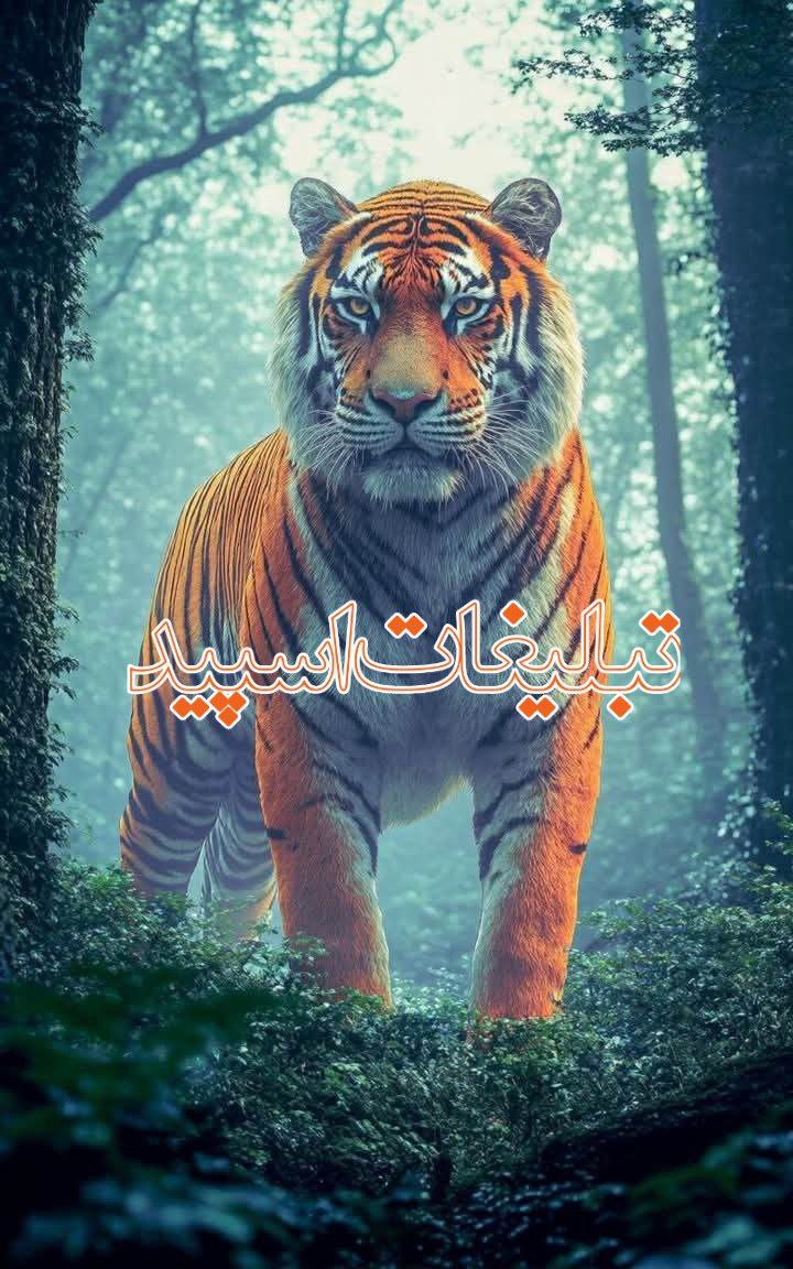 🦚دورهمی نیلوفرهای آبی🦚