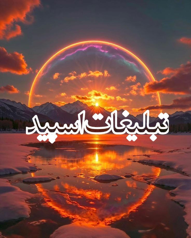 تیم اسپید (2)