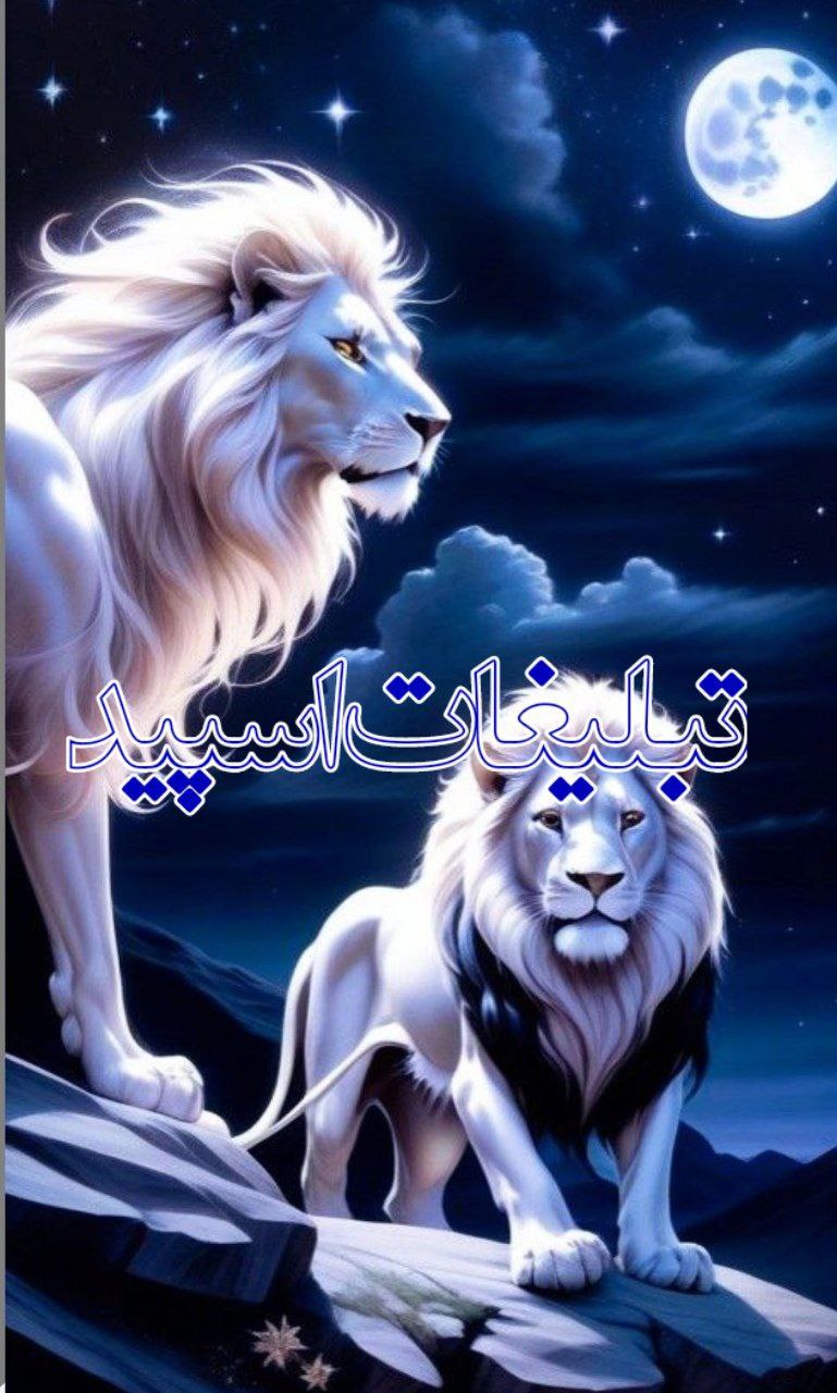 موزیک فا | آهنگ جدید
