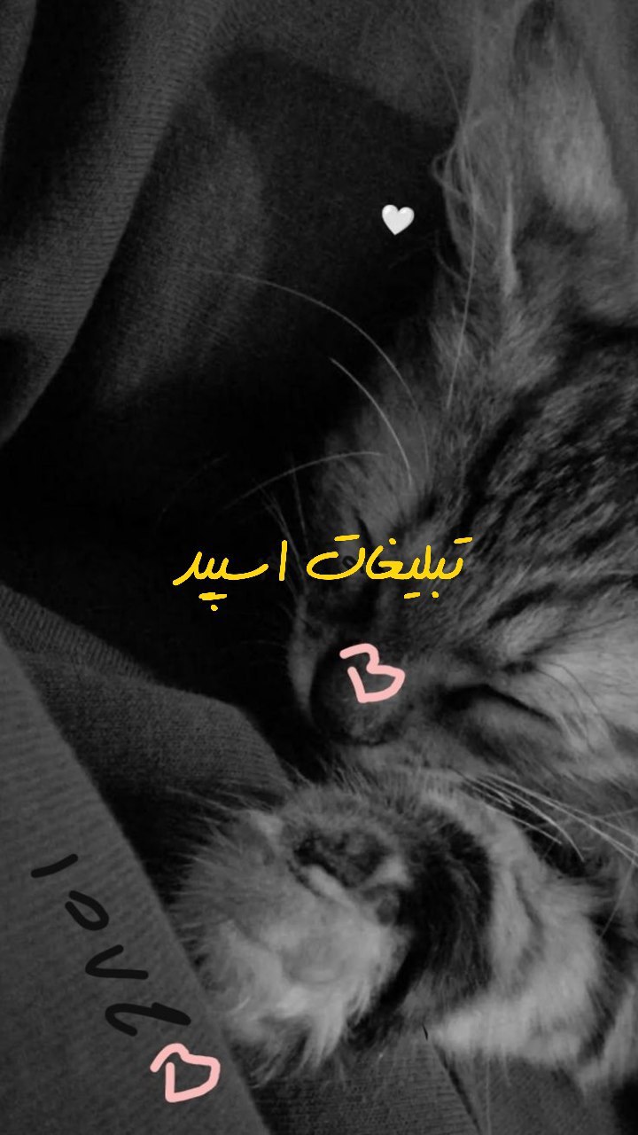 گروه تلگرام کلبه بامرامای مشهد