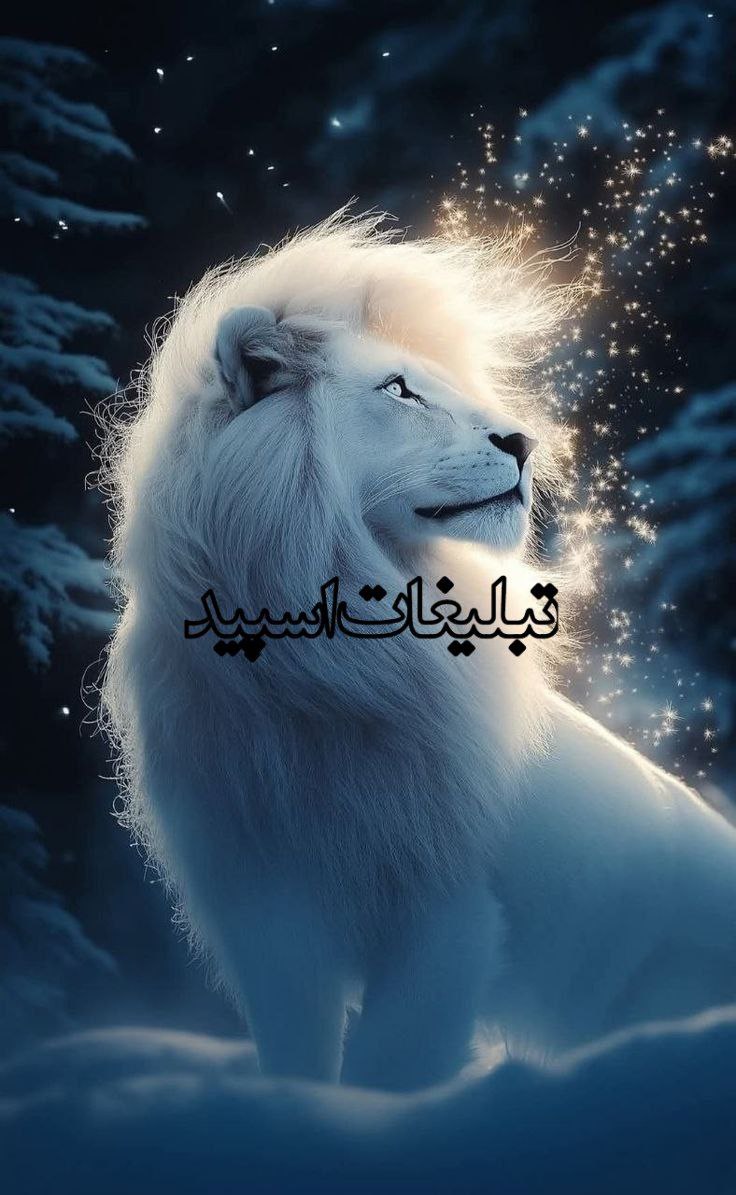 گپ لوتیا 😎😎