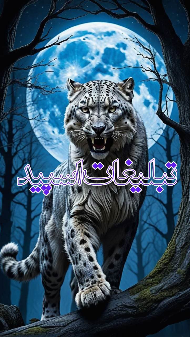 تبلیغات