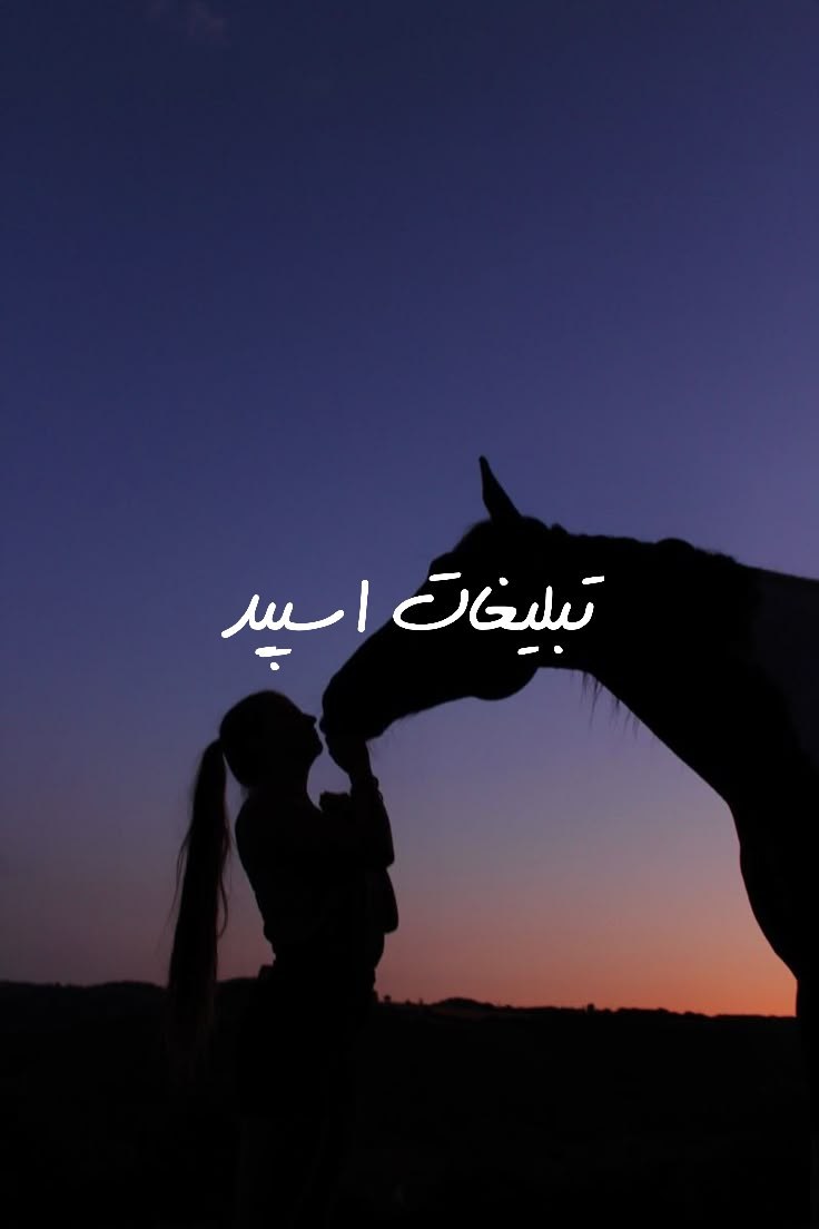 گروه تلگرام آلاچیق کرمونیا