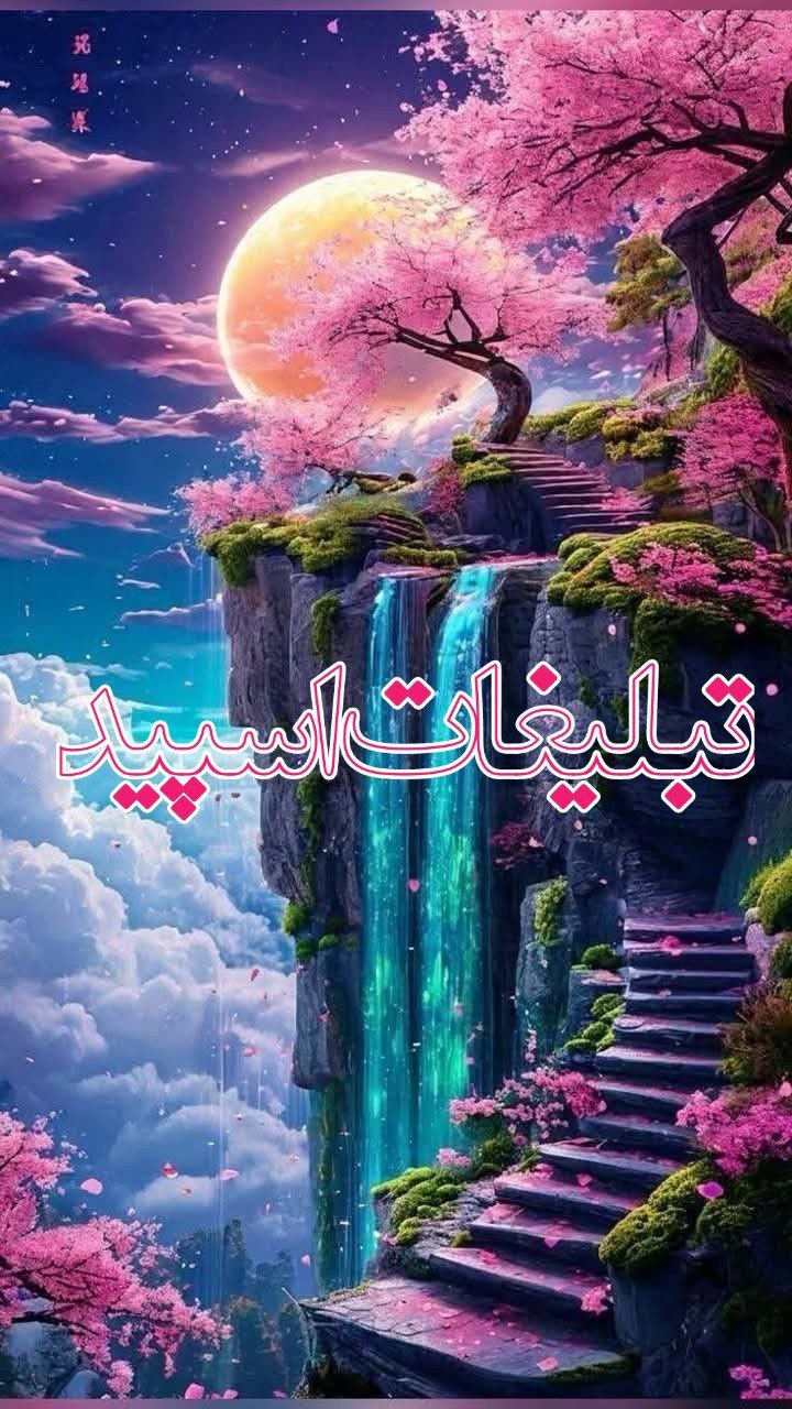 دوستان بامعرفت (19)