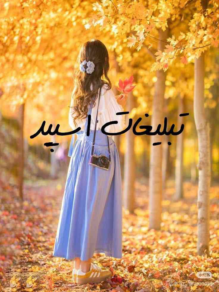 گروه تلگرام پایه دورهمی