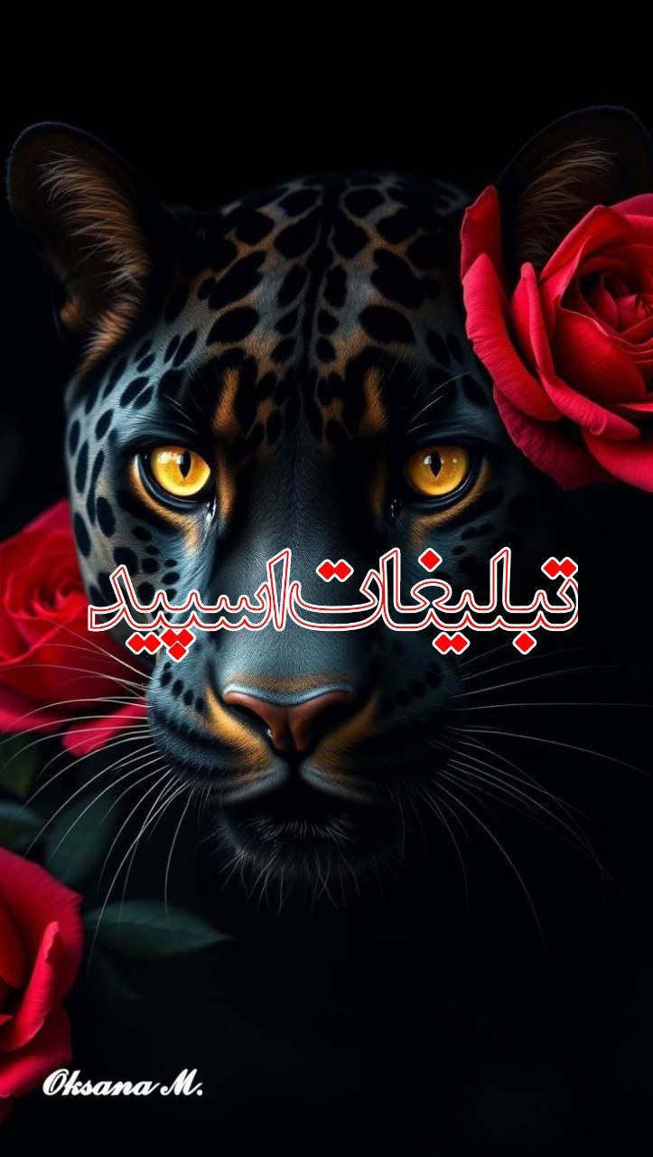 ♛ܝ݆ߺߊ‌ܝ‌ࡅ߳ܨ 𝕡𝕒𝕣𝕥𝕪 𝕝𝕒𝕟𝕕 ܠنܥ‌‌♛