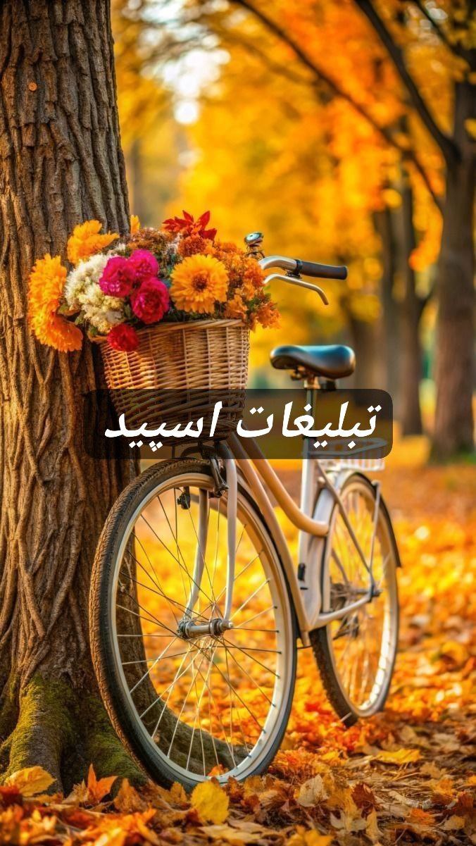 گپ تلگرام وایلدولف
