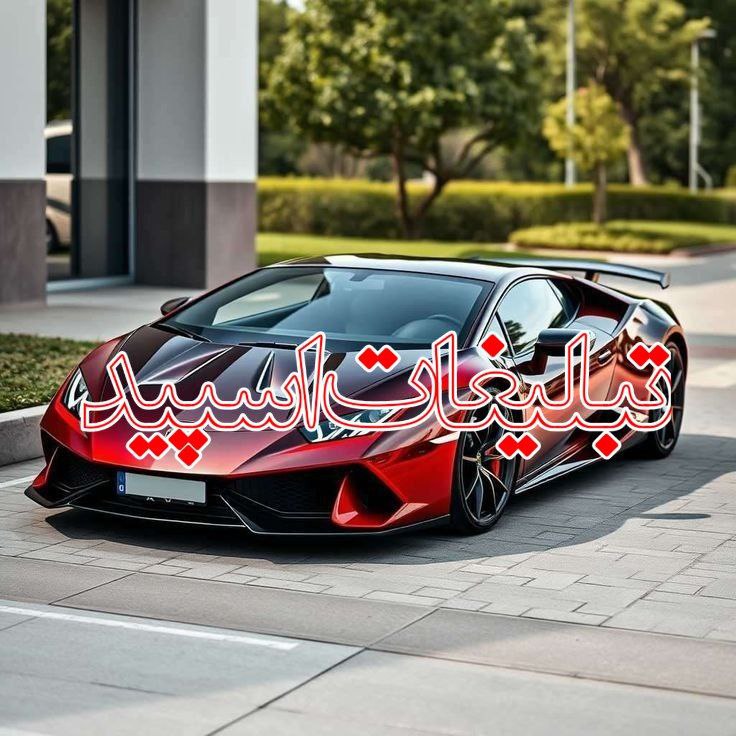 وایلد ولف (62)