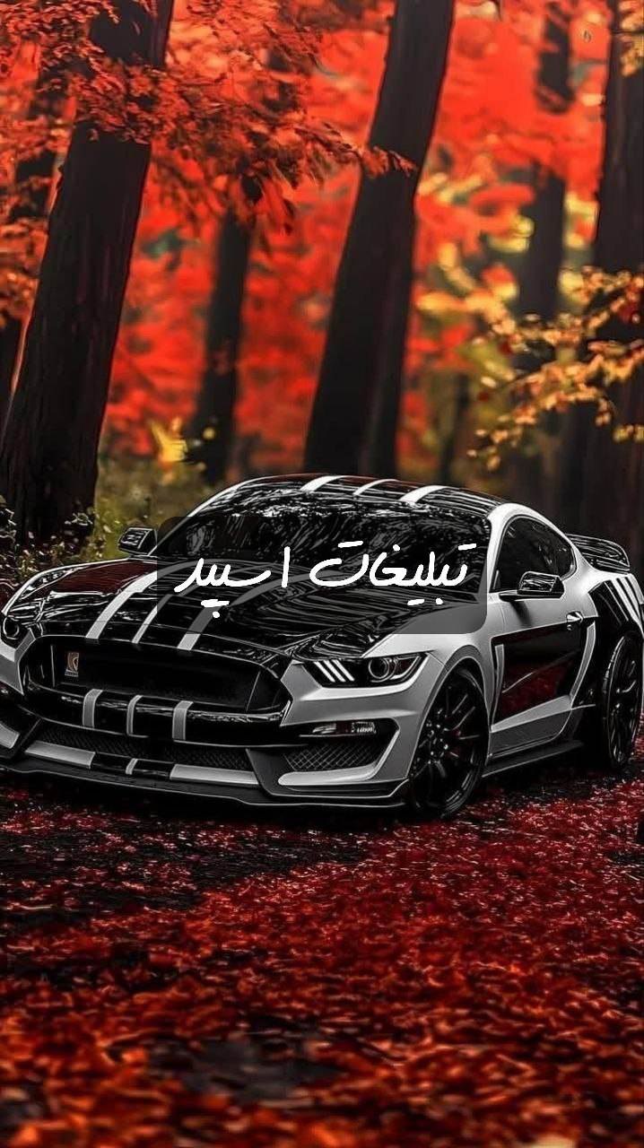گروه تلگرام دورهمی پاتوق دوستان