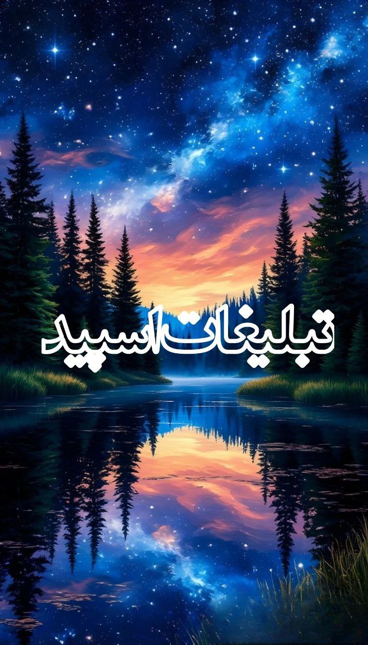 وایلد ولف|WILD WOLF (56)