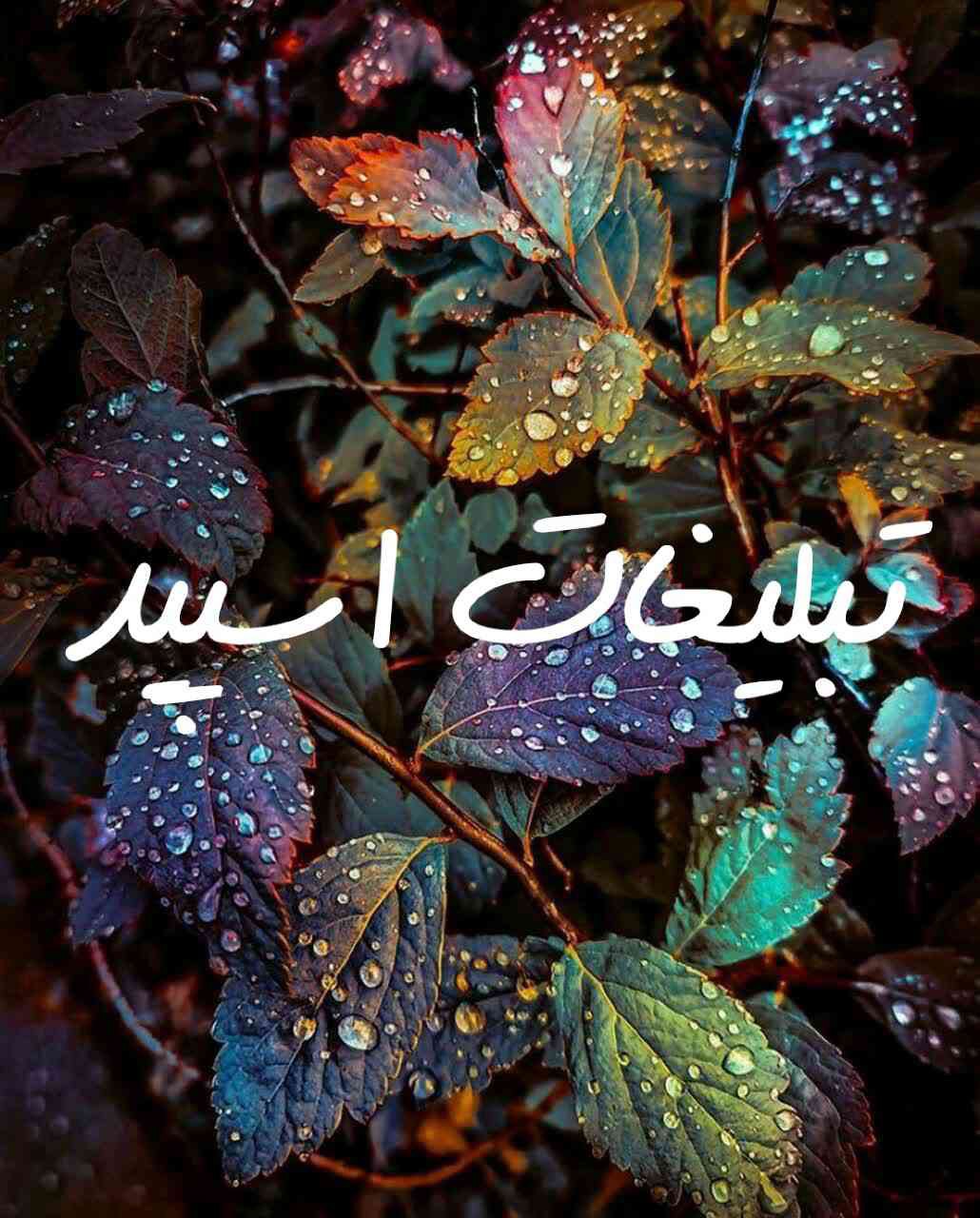 گپ تلگرام عشقکده