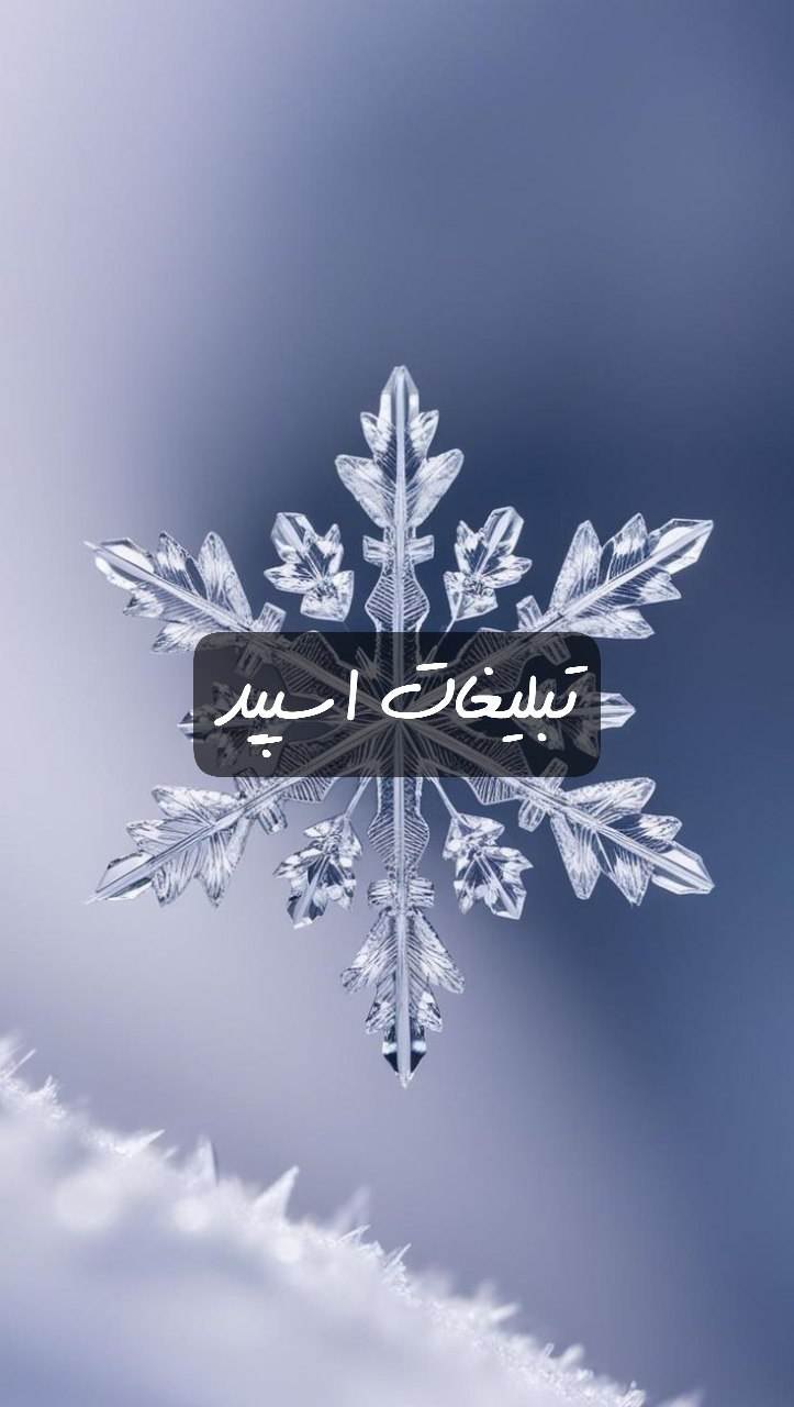 گروه تلگرام استاردایمون