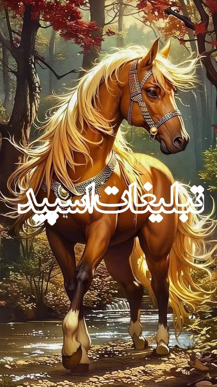 دوستان بامعرفت (8)