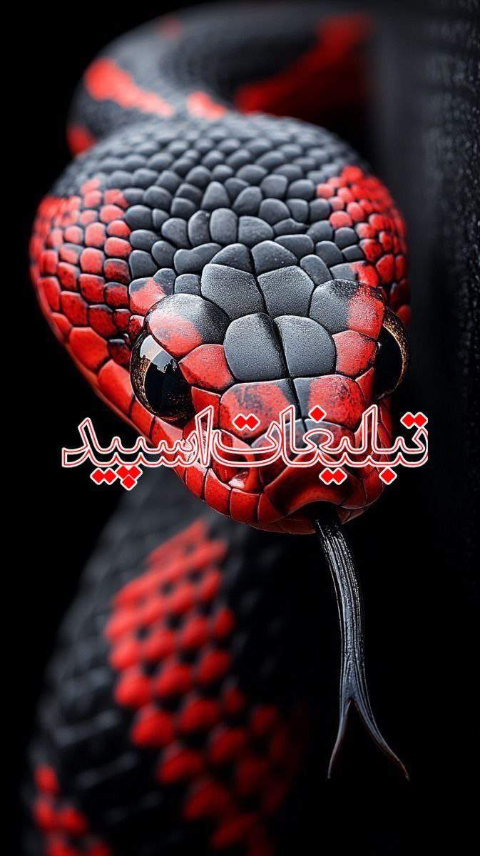 🦋 دوستان با معرفت  🦋⁩