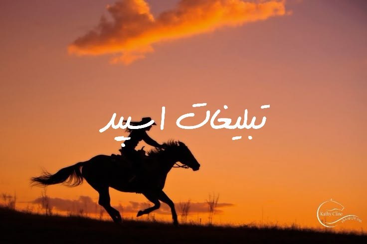 گروه تلگرام عشق ستودنی من