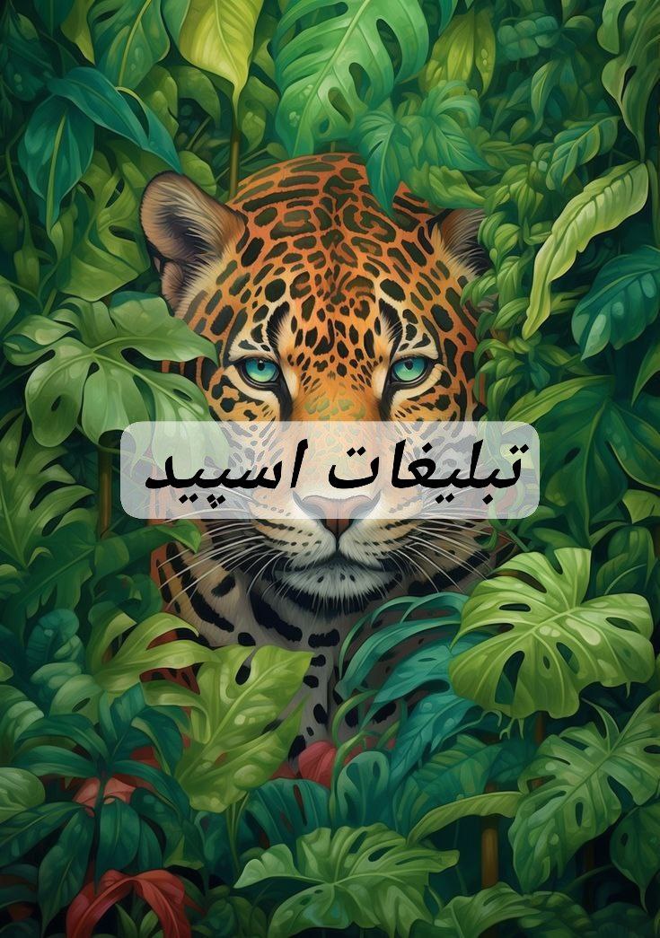 گپ تلگرام 💠༄⁷⁷⁷x᭄ᏟᏆͲᎽ💠 تهران و کرج