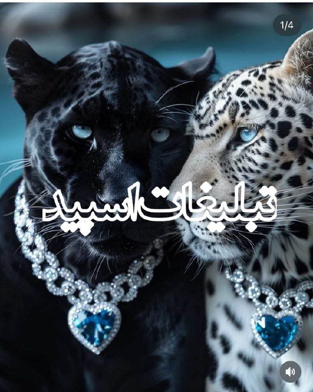 کافه خودمونی (1)