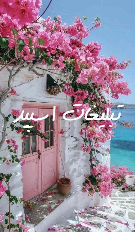 گروه چت ایتا اکیپ تگزاس