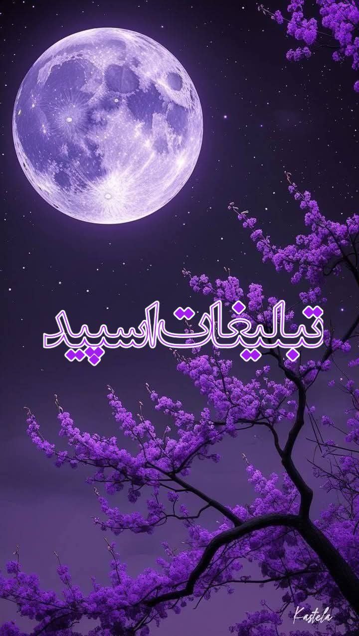 دوستان ماندگار (12)