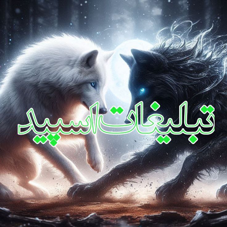 ⓟⓐⓣⓞⓖⓗ (3)