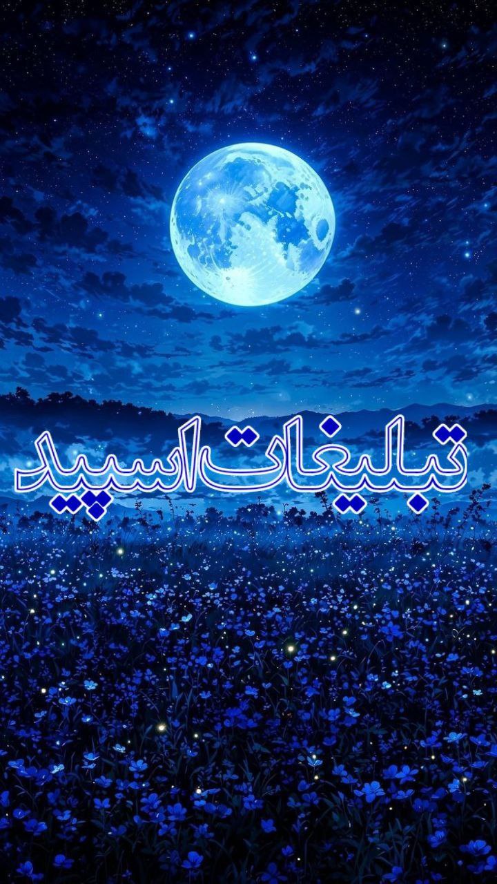 وایلد ولف (331)