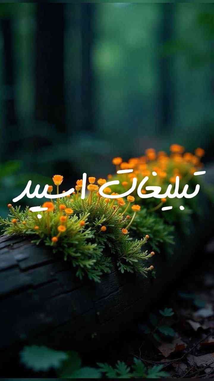 گپ تلگرام میتینگ آریایی ها