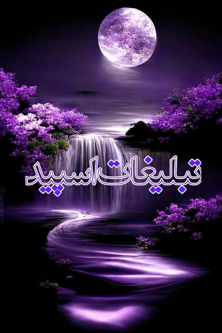 دوستان ماندگار (15)