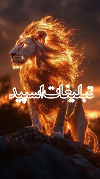 ولف لند (5)