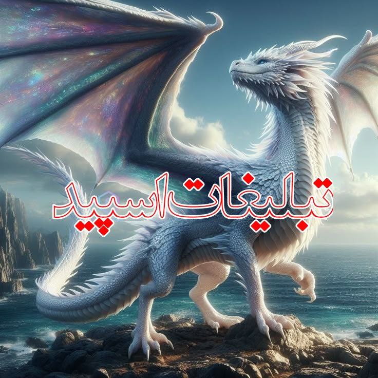 میتینگ طهران کرج (2)