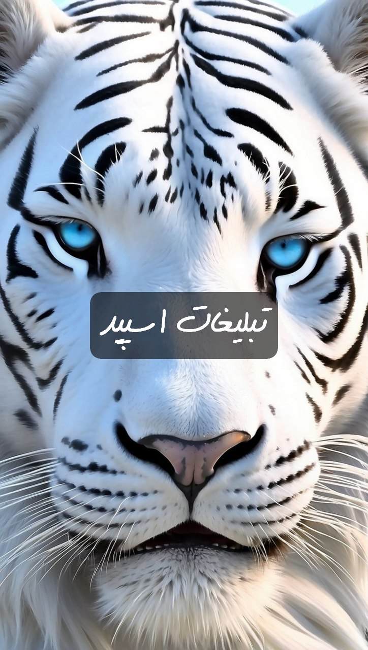 گروه تلگرام بامزه های بندرعباس
