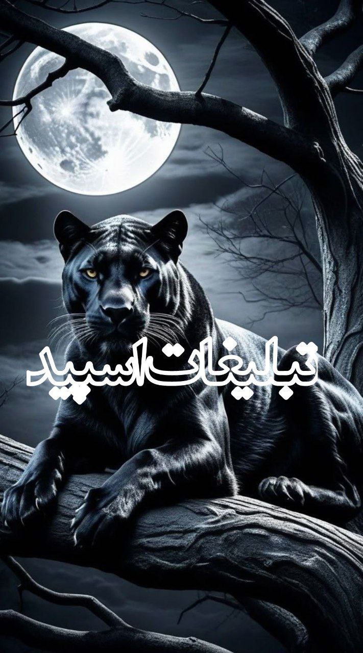 🕊♛ 𝕯𝑬𝐋 𝐂ⅈ𝑻Ꭹ ☬ (2)