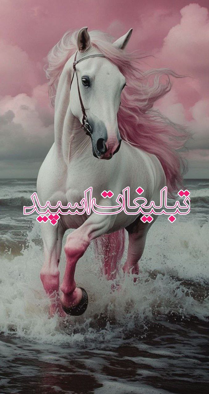 ོ⿻𝐆𝐀𝐏 𝐑𝐎𝐅𝐀𝐆𝐇𝐀֔֔⿻