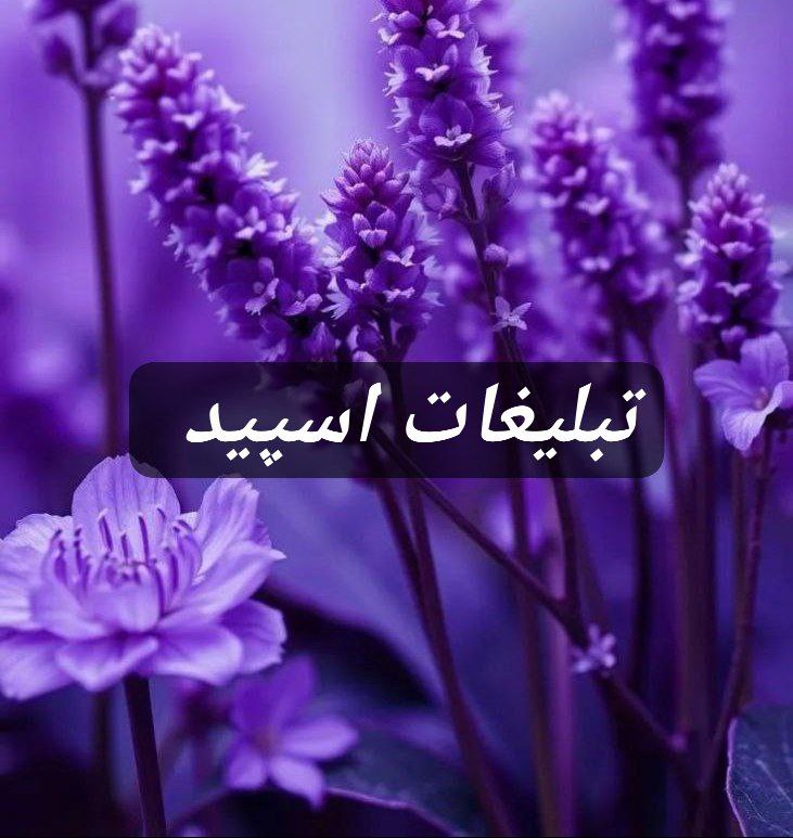 گروه تلگرام رویایی خیس