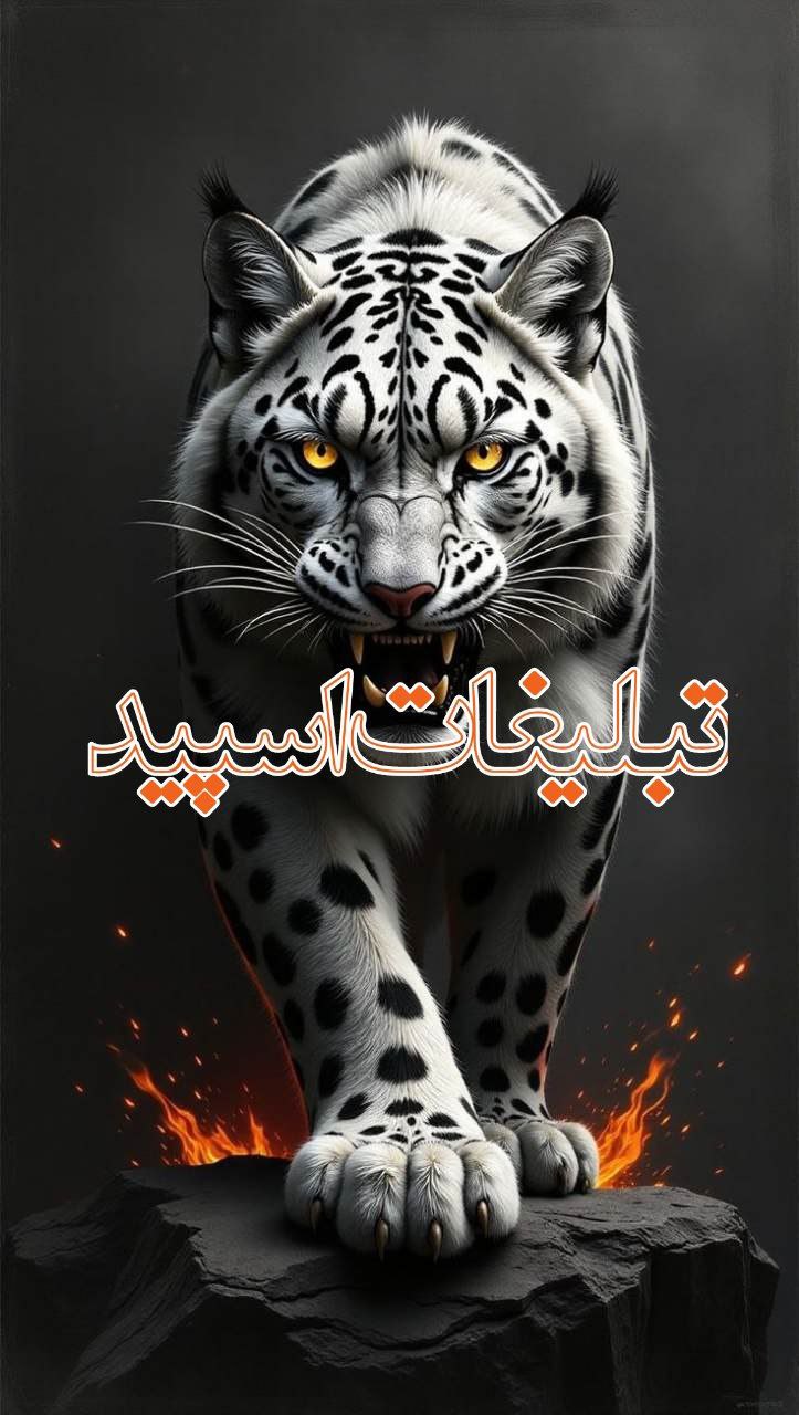 دورهمی لاکچری 🌹 (3)