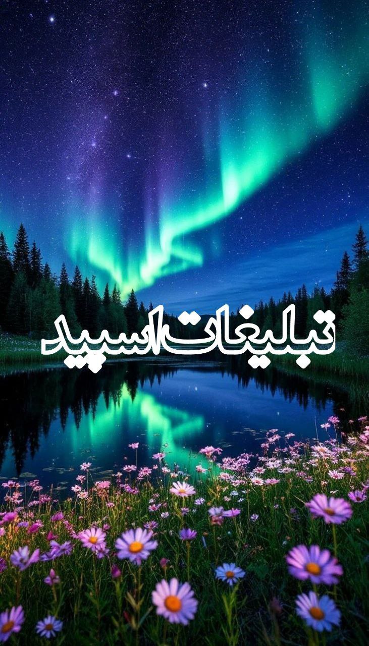 لاکچریا ناب (6)