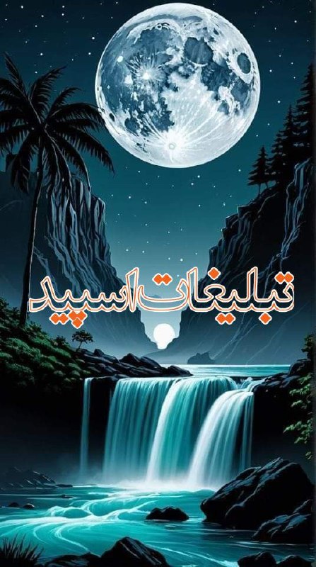 وایلد ولف (264)