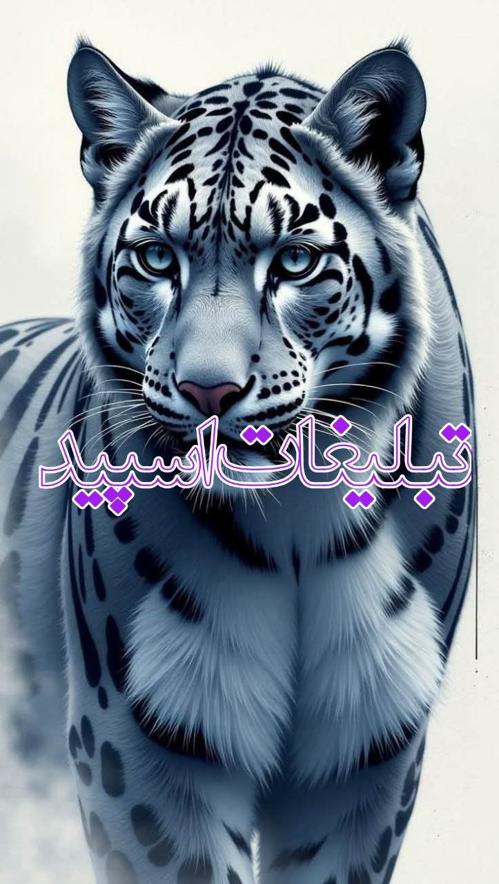 🦋 گروه وفاداران 🦋 (13)