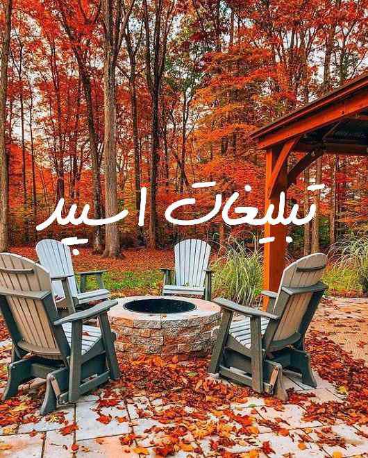 گروه چت سروش حاج حسین و رفقا