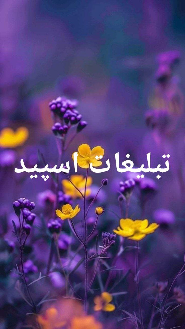 گروه تلگرام میتینگ دوستانه 