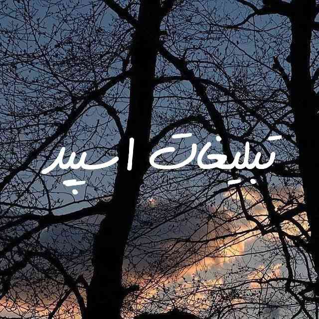 گپ تلگرام دورهمی رفقا 