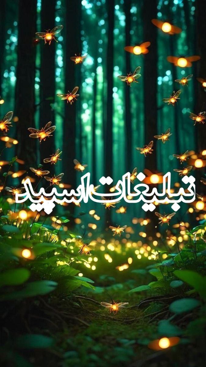 ڪـًّلََــََـََــبََـــْْــََ❅هََ شََـََـََـََـََیََلََــََـََــاݩ