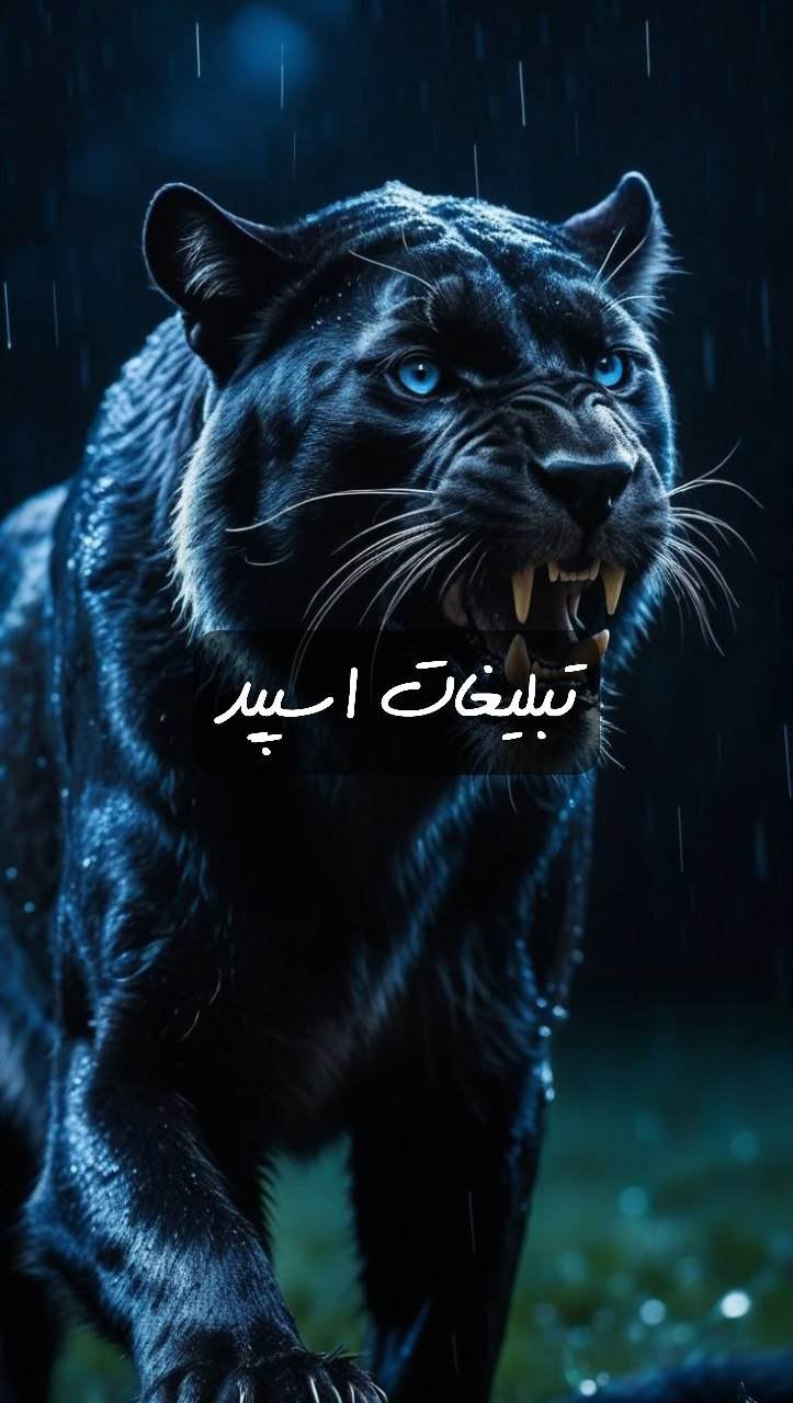 گپ تلگرام میتینگ آزگارد