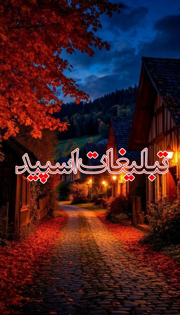🦋 دوستان با معرفت همدل 🦋 (11)