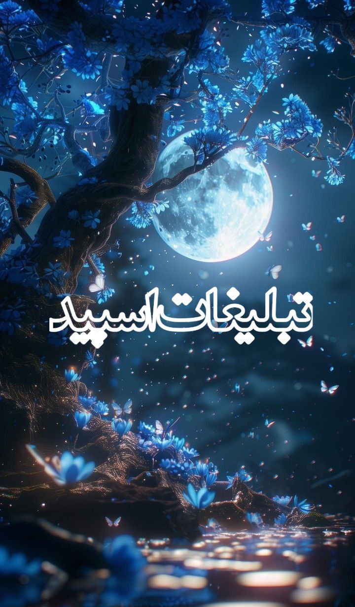 ولف لند (21)
